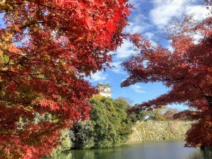 好古園の紅葉